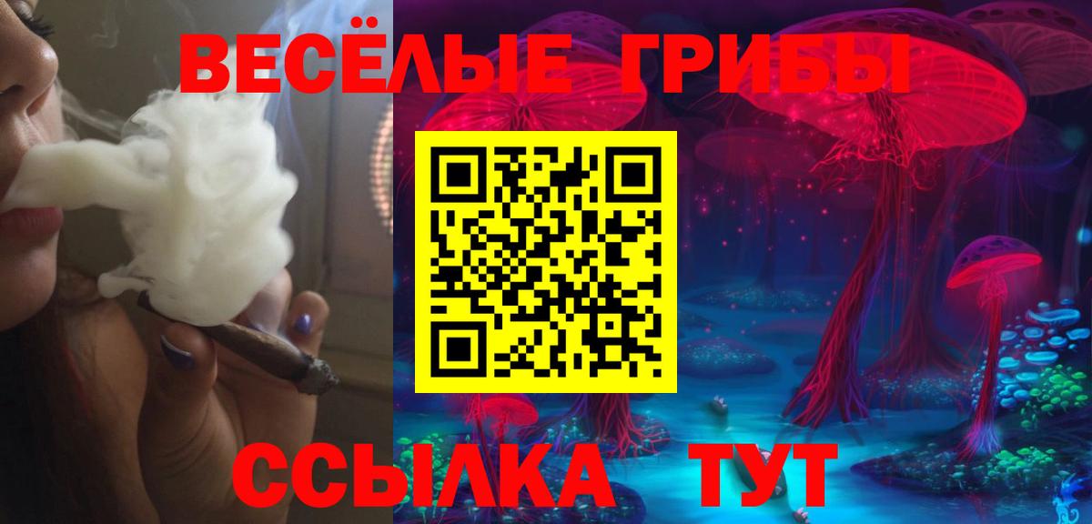 Избербаш  Псилоцибиновые грибы Cubensis  Вход с VPN 